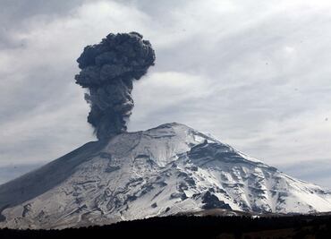 Enemigo de Godzilla emergerá de volcán Popocatépetl en nueva cinta