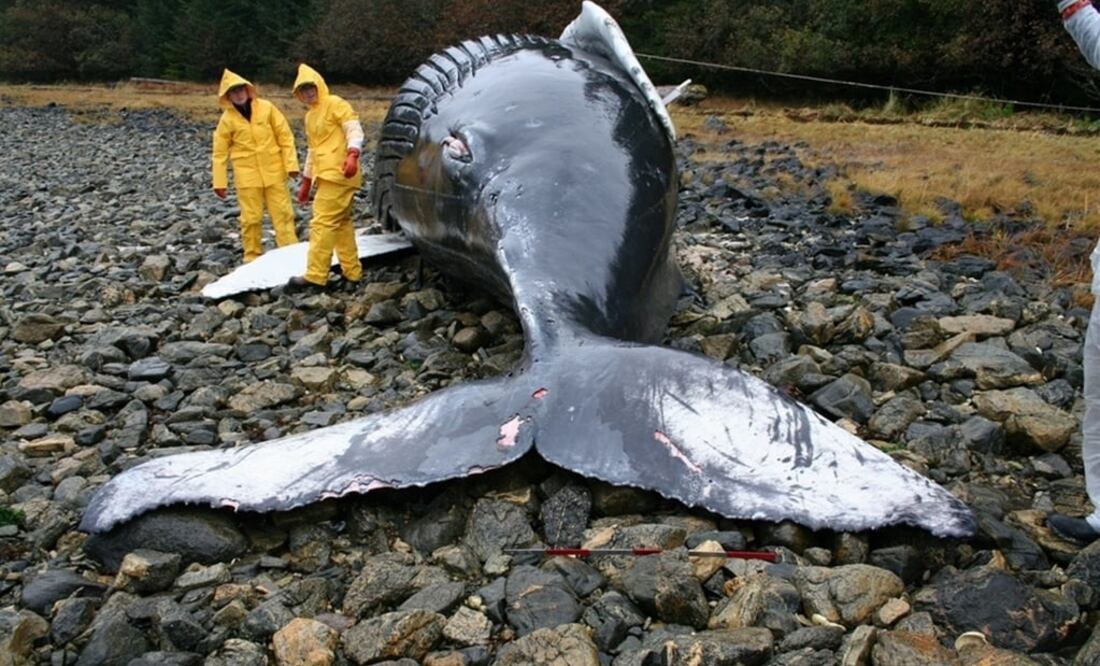 (FOTO: Archivo/EL UNIVERSAL)