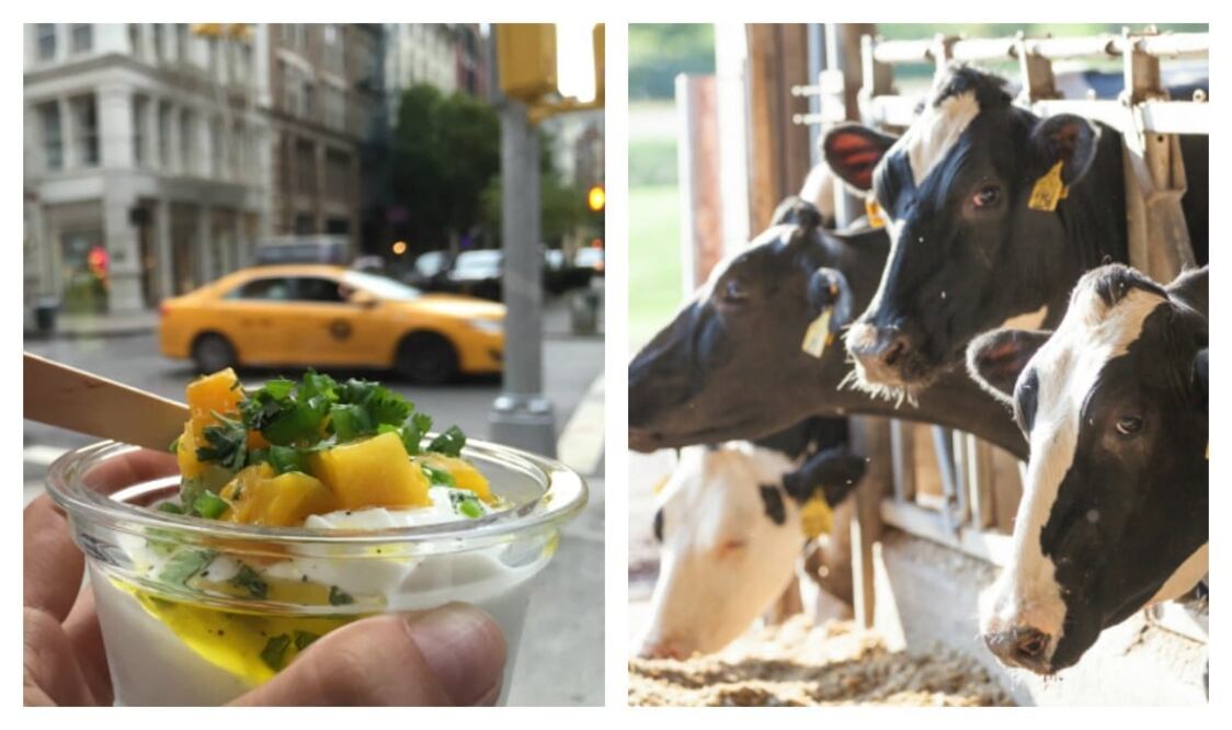 Foto: CORTESIA / ISSA PLANCARTE