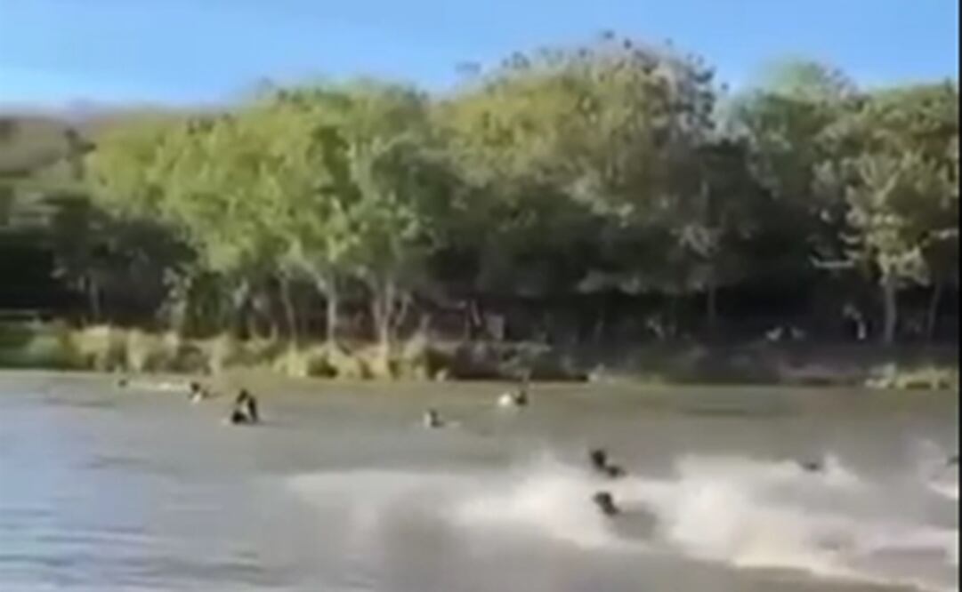 Foto: captura de pantalla