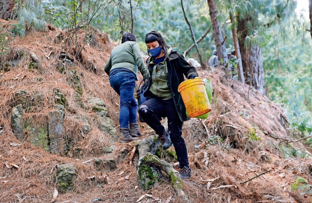 Mujeres trabajan en la lucha contra un incendio forestal en el cerro El Cable, en Bogotá Colombia. Foto: EFE