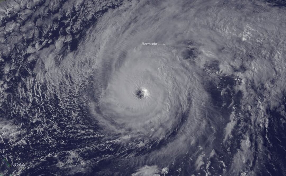 (FOTO: Archivo/EL UNIVERSAL)