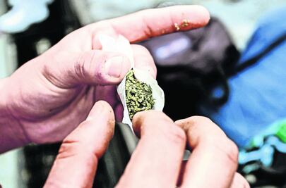 Colectivo cannábico yucateco se anticipa a regulación de marihuana; promueven amparo