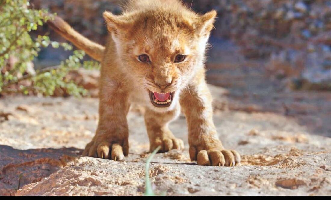 La película da una nueva dimensión digital a la de 1994. Foto/ DISNEY