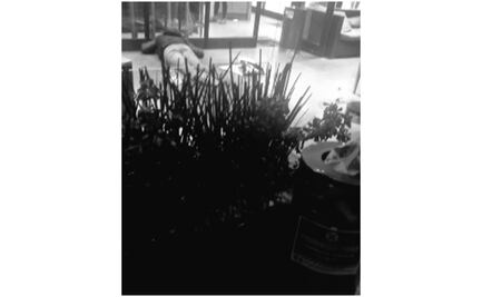 Matan a tiros a hombre en reconocida cafetería de Iztapalapa