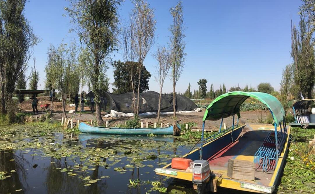 Fotos: cortesía Arca Tierra y Reserva de la Familia