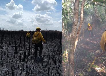 Controlan un 70 por ciento del incendio en Sian Ka'an, Quintana Roo