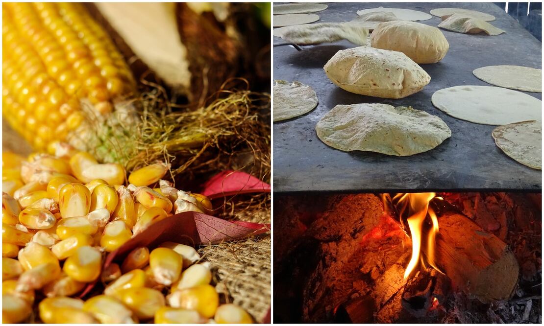 El maíz es el cereal que más se ha venerado en la historia de México (Crédito: Pexels)