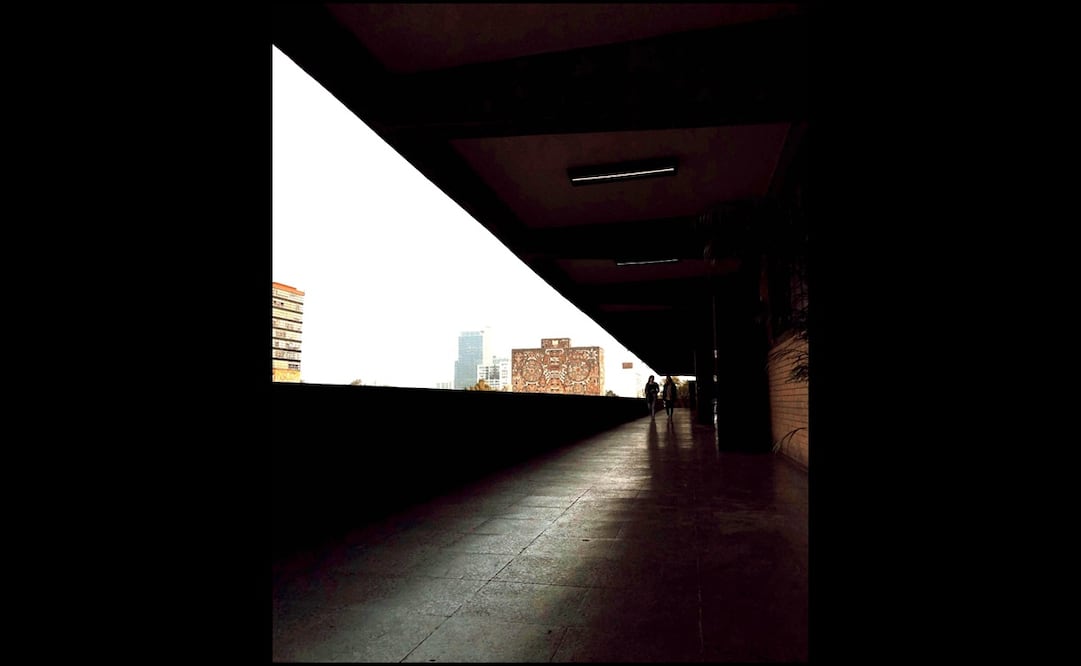 Foto de Liliana Navarrete vía DGCS UNAM