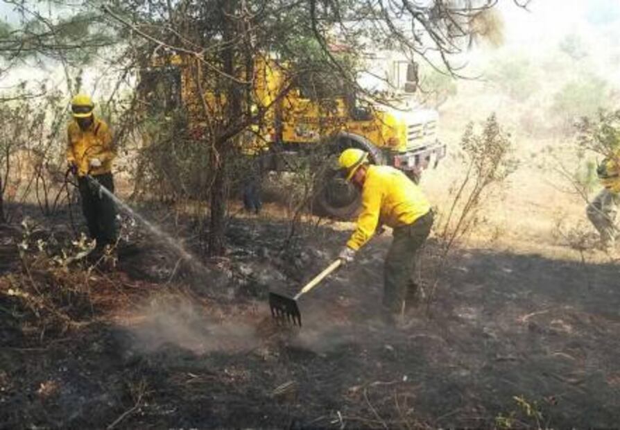 Michoacán concentra el 11.5 por ciento del total de incendios forestales del país