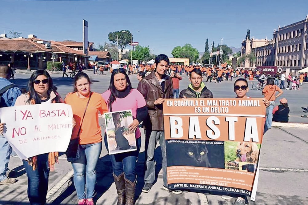 La Sociedad Gatuna Saltillo convocó a una marcha en la capital para exigir justicia contra Jaime, de 23 años, quien asesinó a 3 gatos y al menos torturó a otros 7 (SOCIEDAD GATUNA SALTILLO)