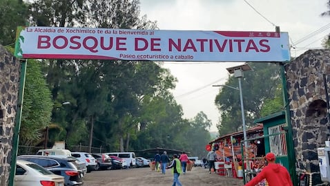 Piden agilizar búsqueda de asesino serial de perros en el bosque de Nativitas en Xochimilco