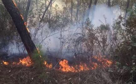Controlan incendio en cerro de Tepoztlán; resta 10% de liquidación