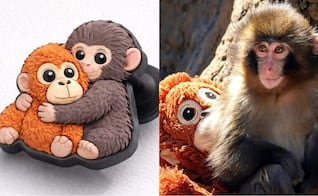 Crocs lanza pin de sandalías inspirado en mono “Punch”; ¿cuándo y dónde adquirirlo?