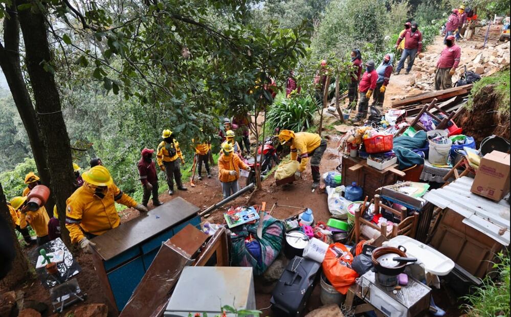 Personal de la Sedema realizó un operativo en la zona boscosa de Los Dinamos, donde se intervinieron 10 hectáreas, cuatro de ellas ocupadas ilegalmente. Foto: especial