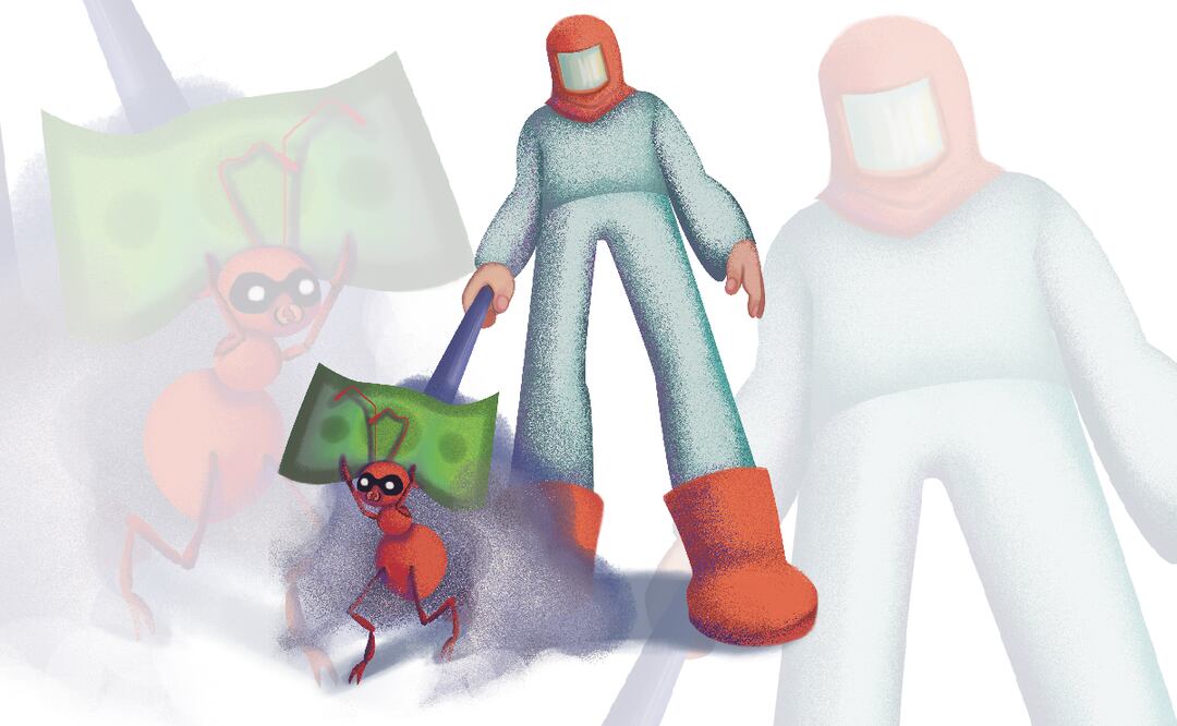 Ilustración:  Liliana Pedraza