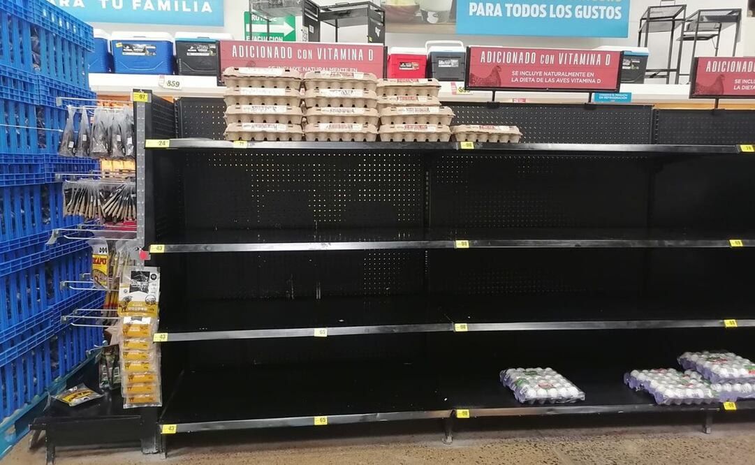 ¿Qué está provocando la escasez de huevo en Reynosa?