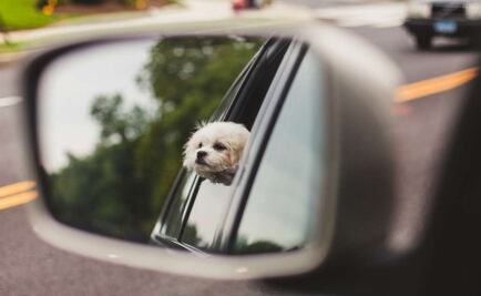 Las diez normas de tráfico más extrañas del mundo