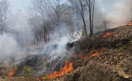 Controlan incendio en Bosque de La Primavera en Jalisco