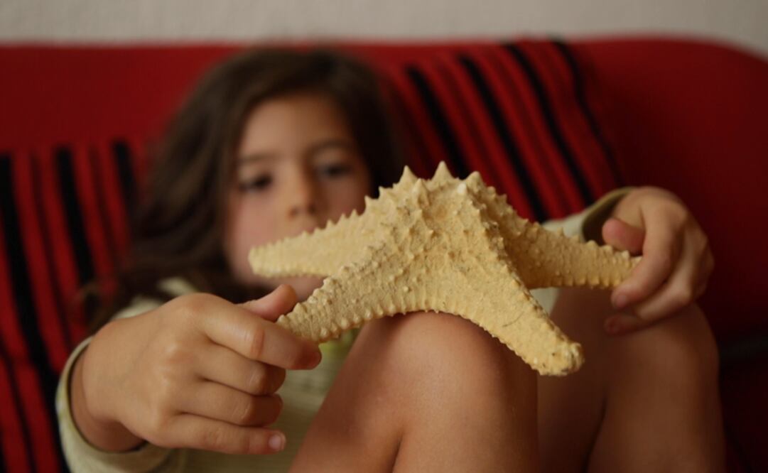 El documental sigue a Milena, la pequeña hija del cineasta, durante dos semanas en su encuentro con un pequeño pájaro. Foto: Piano Distribución