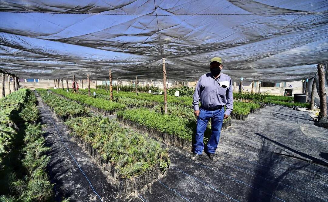 Foto: archivo/EL UNIVERSAL 