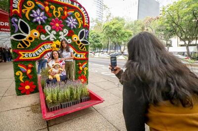 5 actividades para este fin de semana en la CDMX