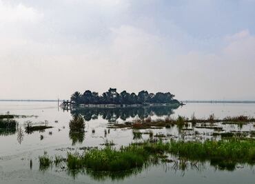 Hasta practican yoga en el parque Lago de Texcoco