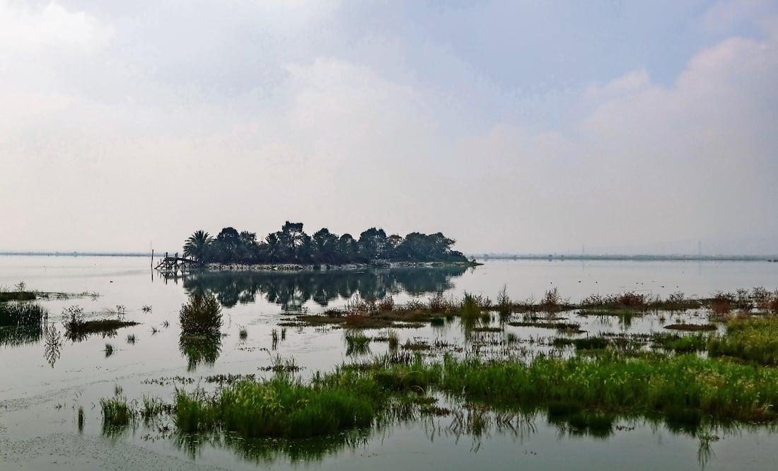 El Parque Ecológico de Texcoco es uno de los proyectos hídricos prioritarios del gobierno federal; el lugar generó alrededor de 6 mil empleos. Foto: Hugo Salvador | El Universal