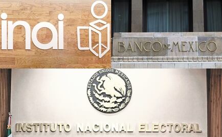 Estos son los organismos autónomos más importantes en México