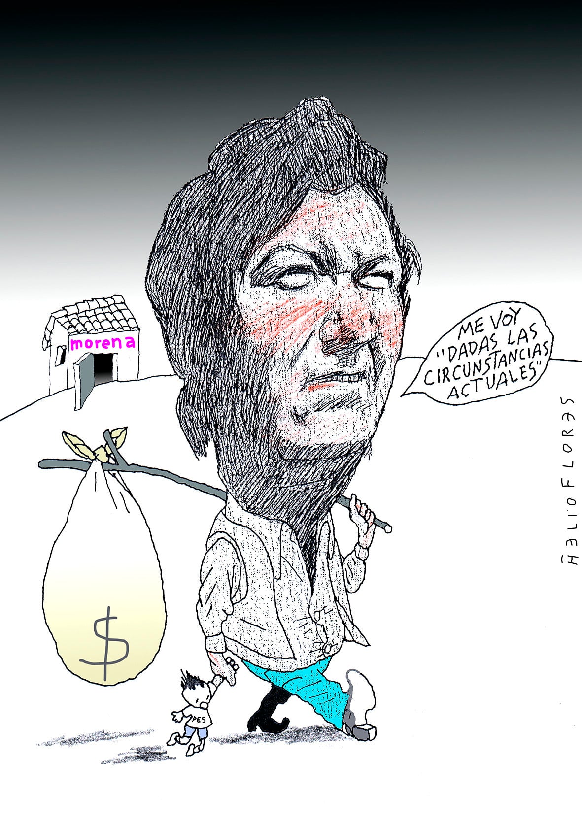 Cartón de HELIOFLORES