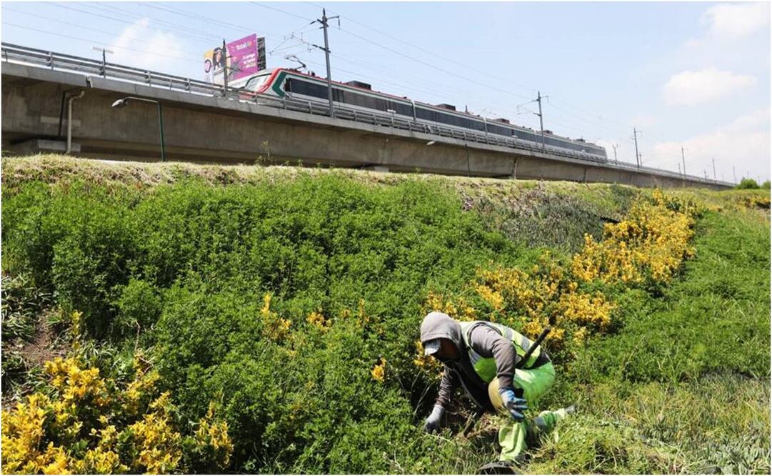 Tren Interurbano México - Toluca. Foto: Jorge Alvarado/ EL UNIVERSAL