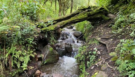 Ya no cae agua del Iztaccíhuatl