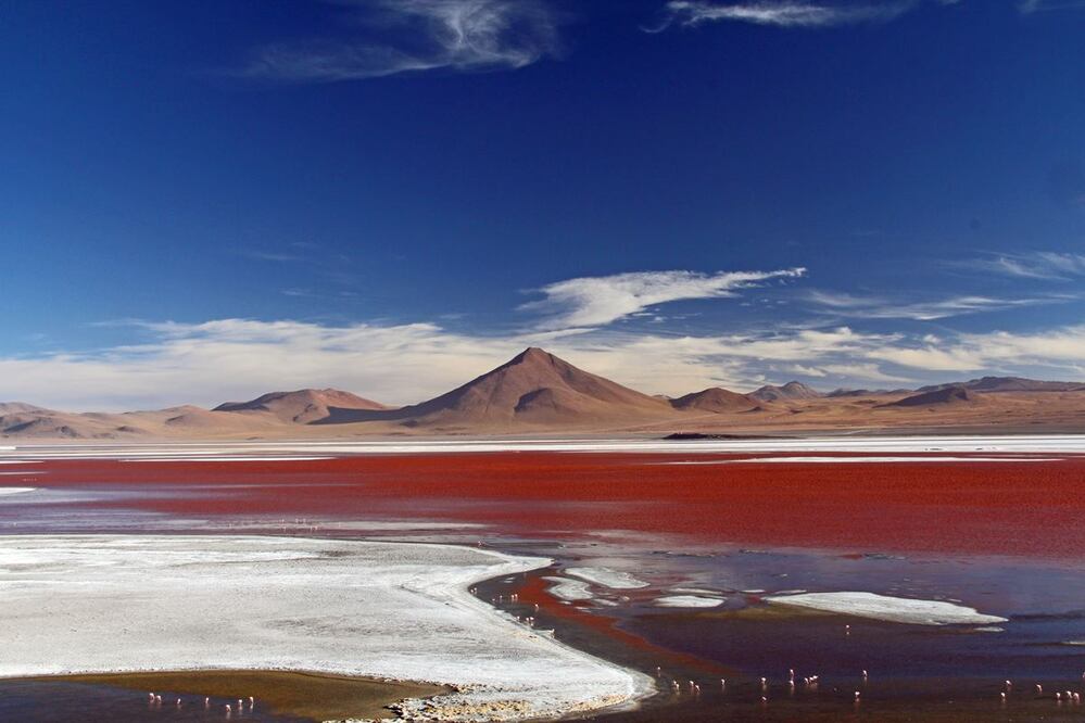 Laguna Colorada, en el Altiplano Andino. Foto: Istock
