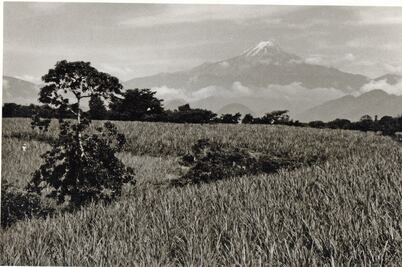 El bello camino hacia Veracruz  