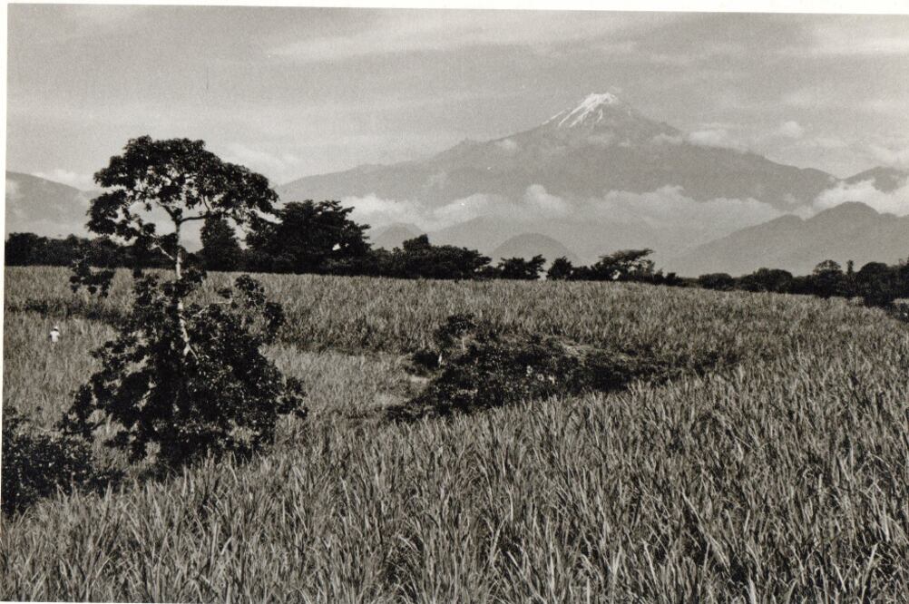 El bello camino hacia Veracruz