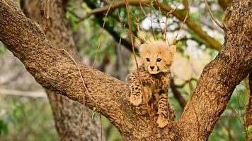 Héroes anónimos (y mal pagados) dejan ver su lucha en Born to be wild