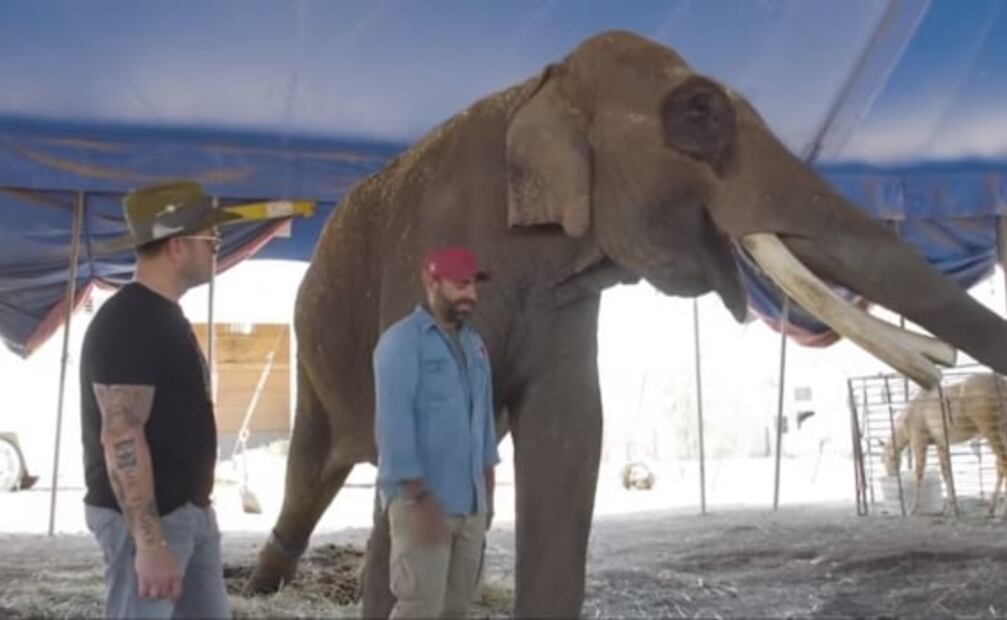 Arturo Islas contesta a críticas sobre la liberación de Big Boy: "No es un tema personal"