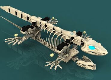 Un biorobot permite estudiar los primeros pasos de los vertebrados