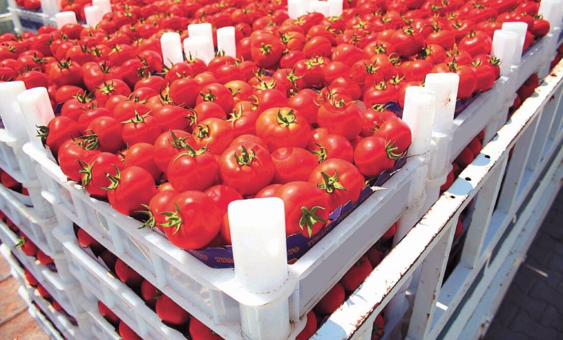 Al suspenderse la investigación, Estados Unidos tendrá que reembolsar la cuota que cobró a productores mexicanos en los últimos cuatro meses. Foto: ARCHIVO EL UNIVERSAL