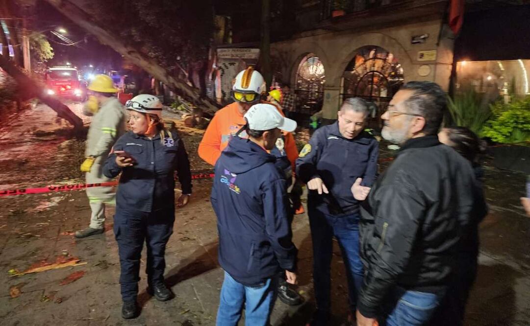 Afectaciones en Coyoacán. Foto: Especial