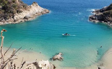 Ambientalistas dan recomendaciones para fomentar un turismo responsable en playas; buscan proteger fauna silvestre 