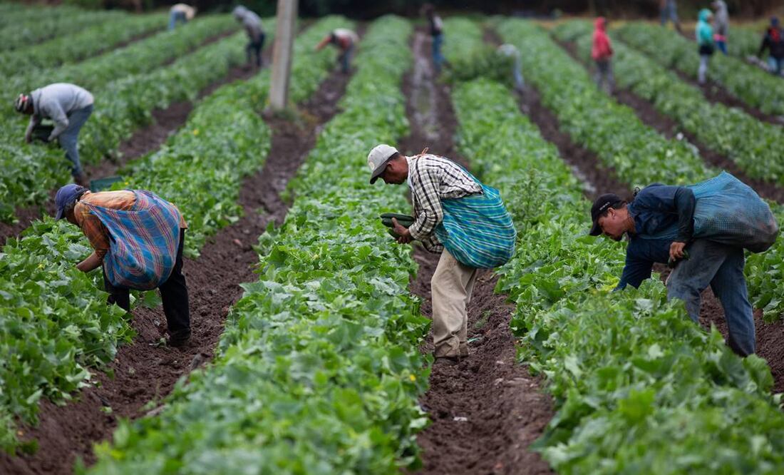 Foto: Archivo EL UNIVERSAL