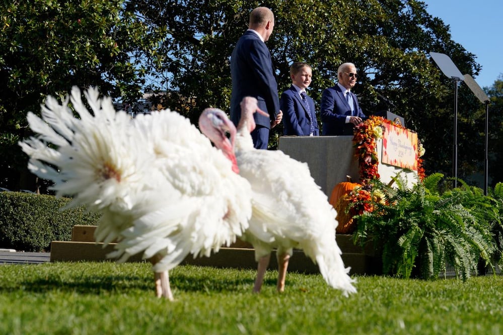 El presidente de Estados Unidos, Joe Biden (der.), en la ceremonia de perdón de los pavos por el Día de Acción de Gracias Nacional, en la Casa Blanca, en Washington, DC. Peach y Blossom, de Minnesota, fueron los pavos elegidos. FOTO: EFE