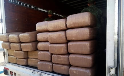 Ejército decomisa media tonelada de marihuana en Zacatecas