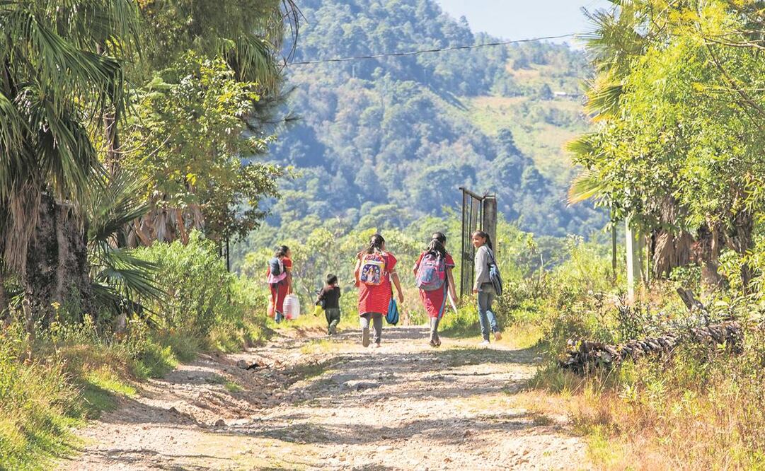 Centros educativos bilingües de comunidades indígenas y rurales en la región de la Mixteca oaxaqueña permanecen sin internet desde el inicio de la pandemia, hace más de dos años. Desde entonces los docentes se las ingenian para trabajar procurando que los