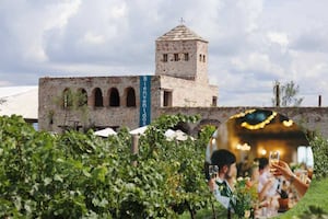 Habrá fiesta de Año Nuevo en el viñedo Tierra de Alonso