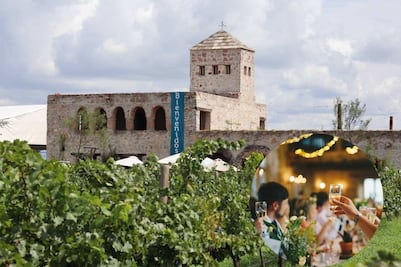 Habrá fiesta de Año Nuevo en el viñedo Tierra de Alonso