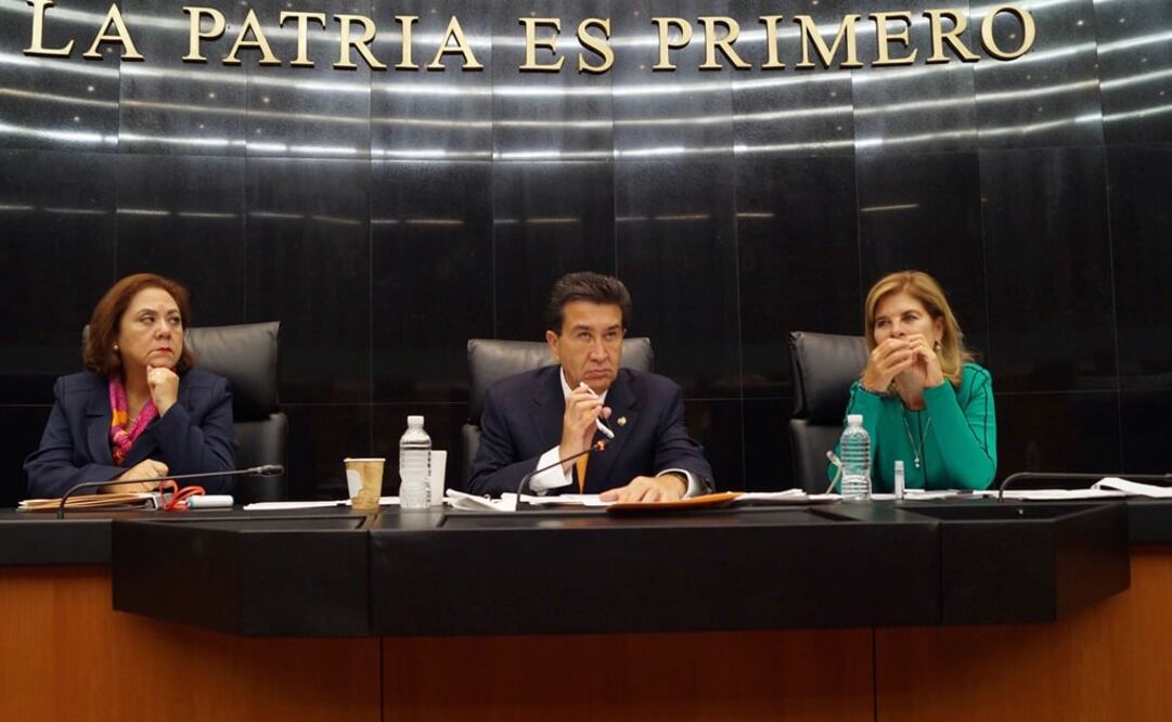 Integrantes de las comisiones de Anticorrupción y Participación Ciudadana y Justicia de la Cámara Alta entrevistan a la académica por celular. /Especial