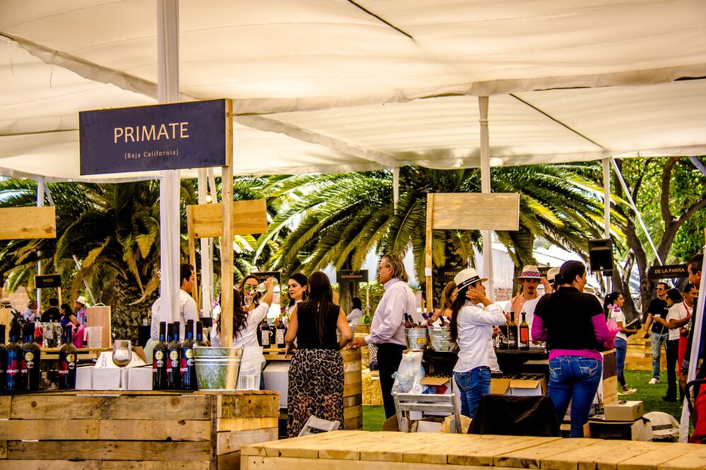 La exhibición es de vinos exclusivamente mexicanos. (Foto Cortesía)