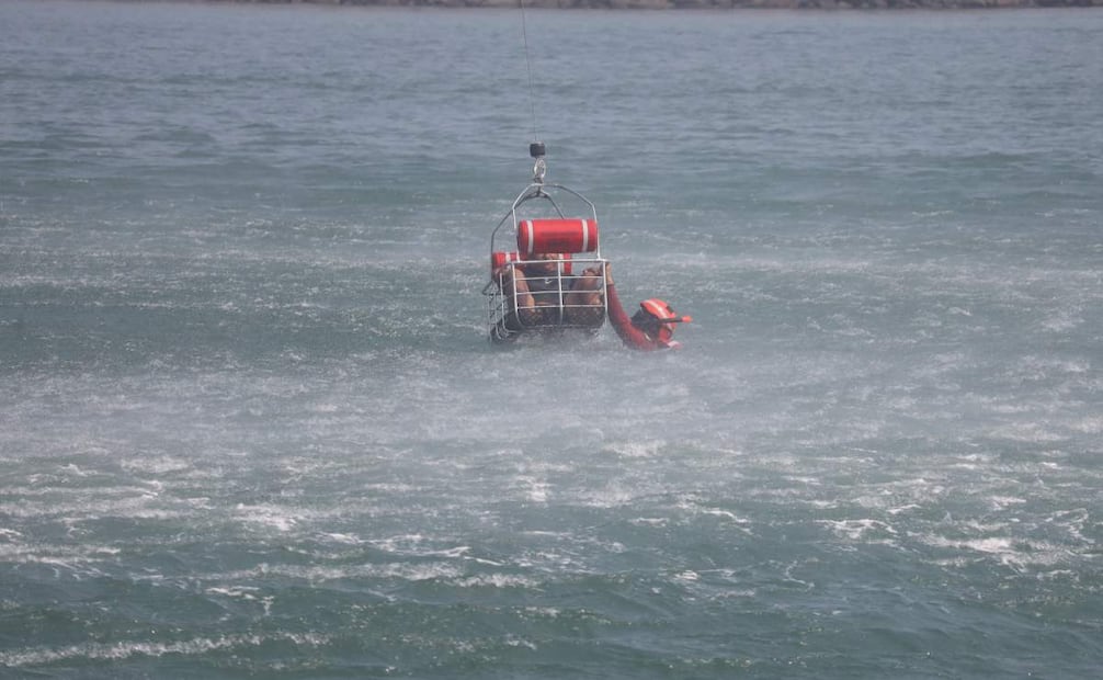Marinos realizan ejercicios de búsqueda y rescate previo a Semana Santa en Veracruz (10/03/2026). Foto: Semar